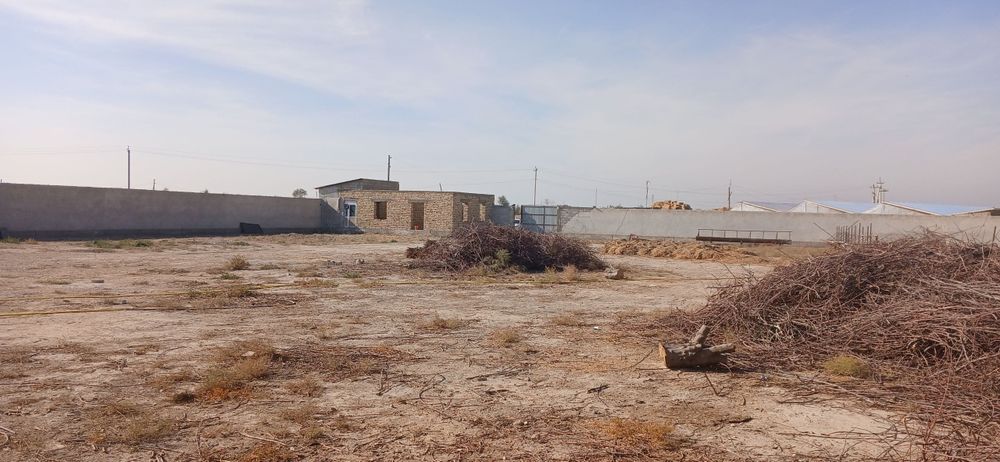 50 sotix yer va tayyor molxona — 140 000$