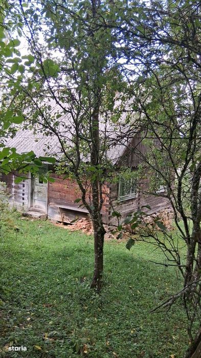 De vânzare casă cu teren Albac  5000m²