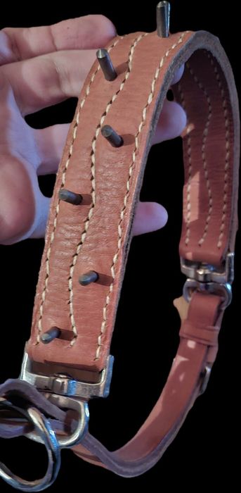 Каишка с шипове за куче