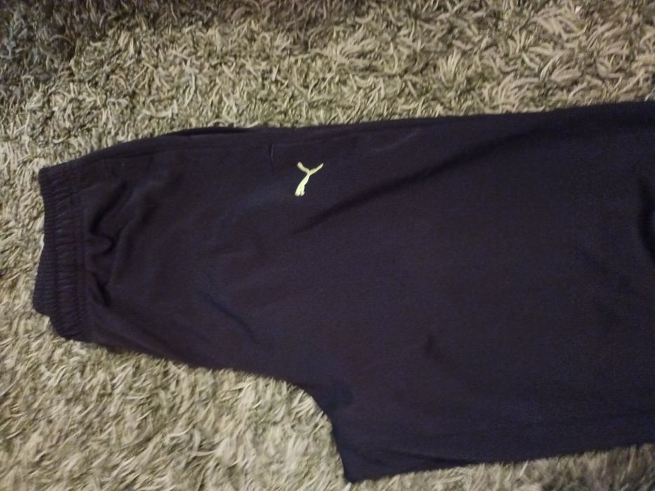 Trening puma 170-176