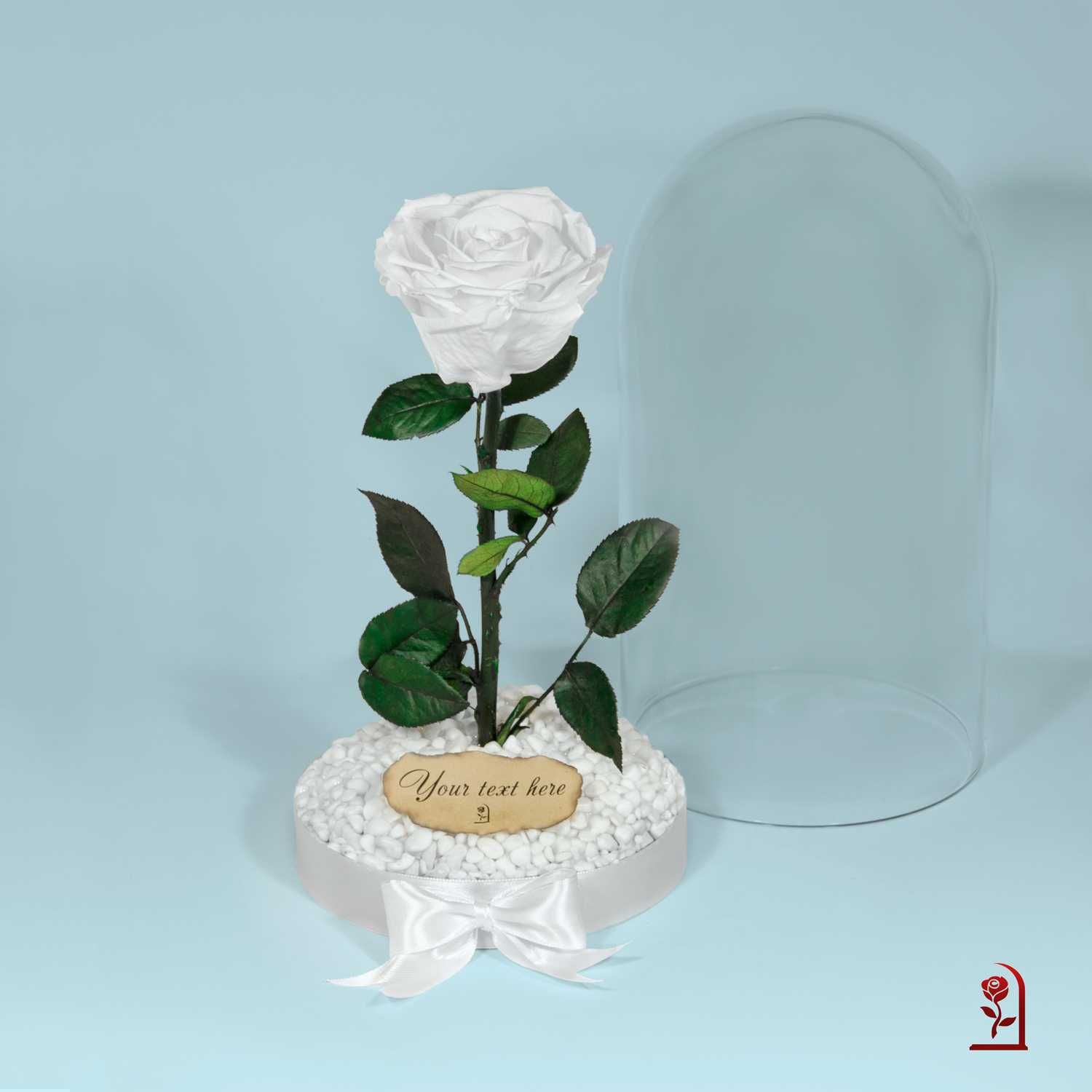 Бяла ЕСТЕСТВЕНА Роза в Стъкленица /Хит Подарък за Юбилей / Вечна Роза