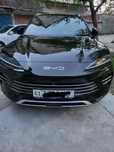 BYD -Чемпион 2024 г.