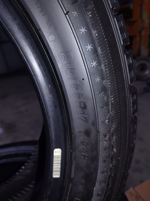 Зимние шины Sailun R17