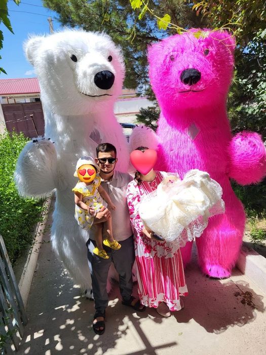 Teddy мишка, надувной мишка