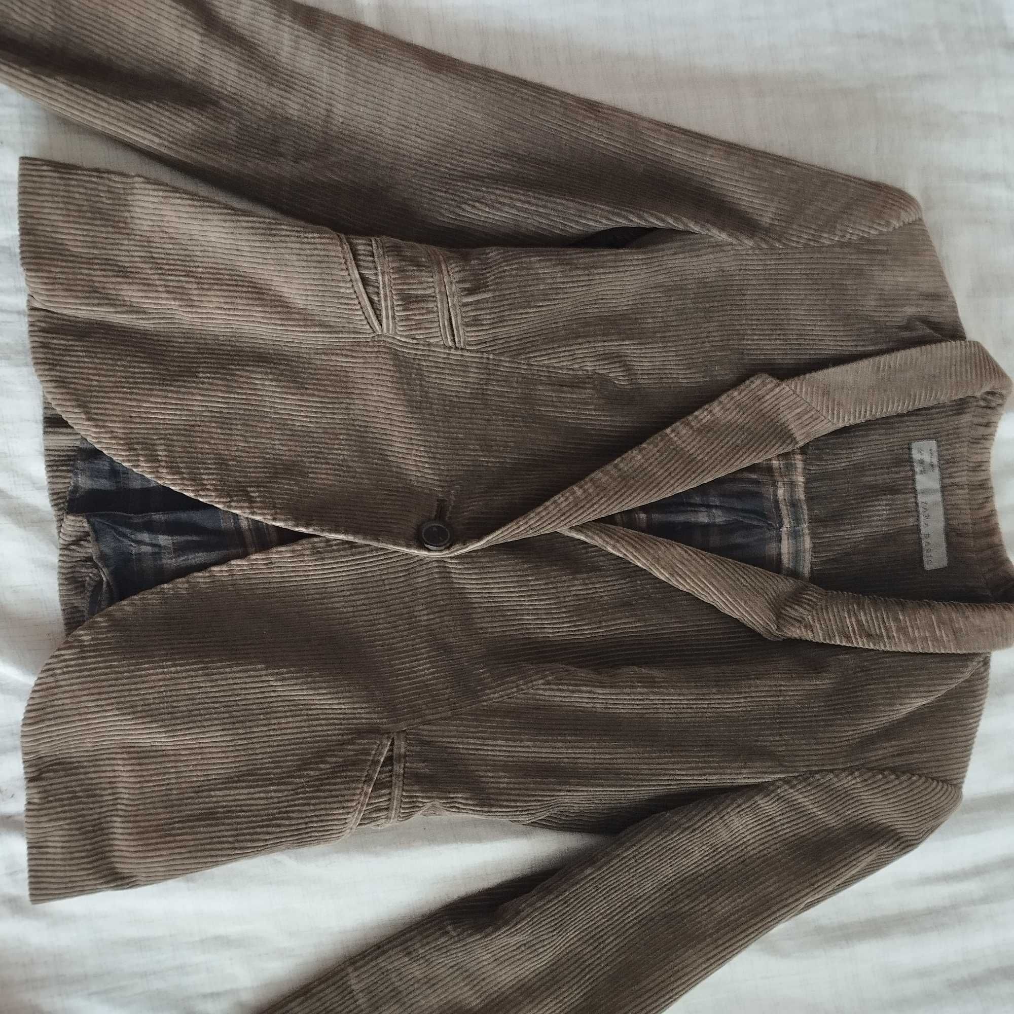 Zara basic сако + риза
