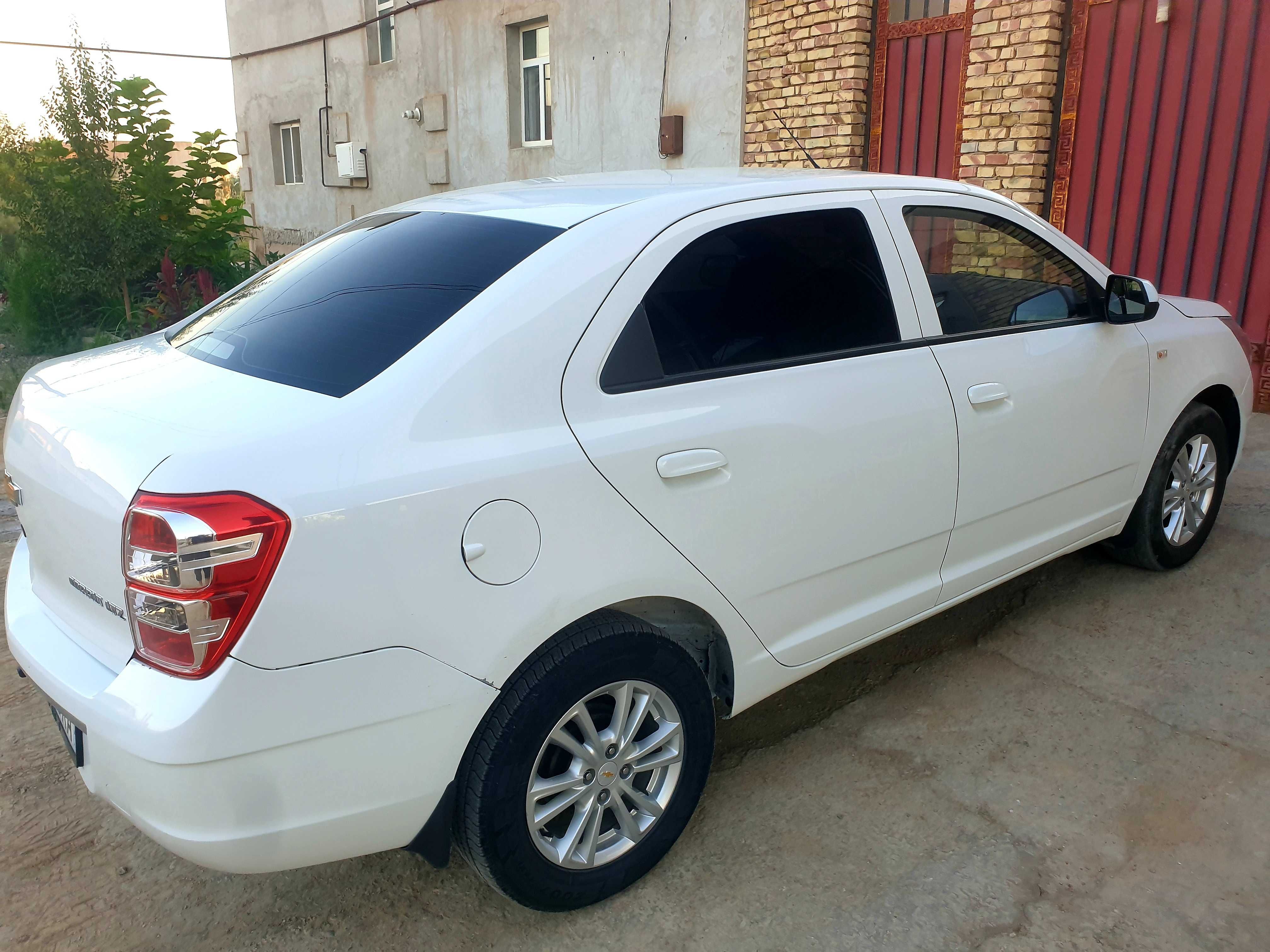 Коболт автомат (2022)