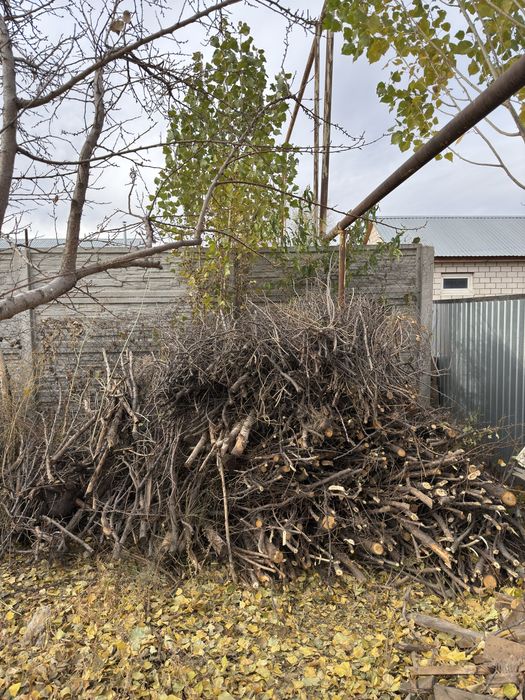 Бұтақ Түп Шөп сатылады