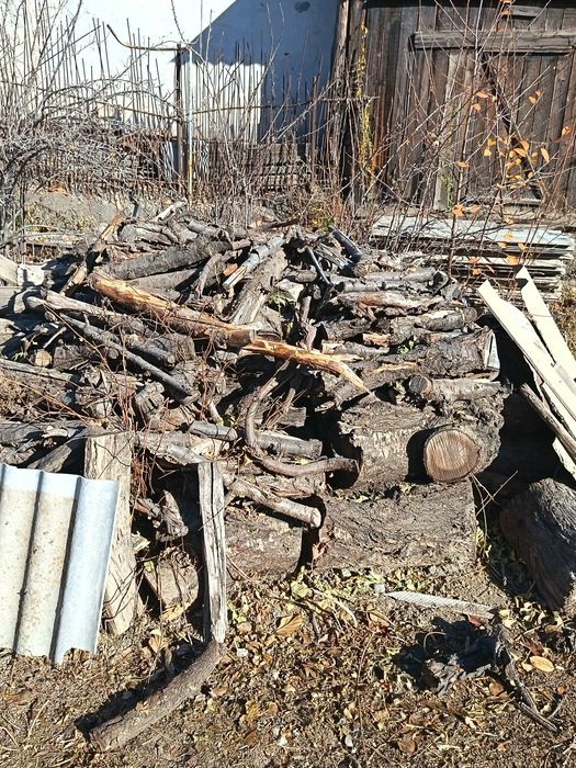 Otin sotiladi orik, tut, gilos