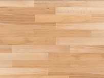 Vand Parchet Fag 12 m patrati (parchet fag 25x5x2,2)