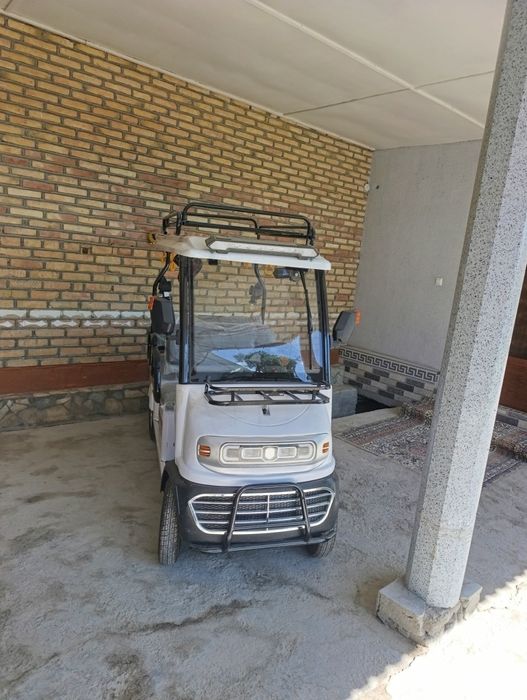 Elektrogolfkar..,
