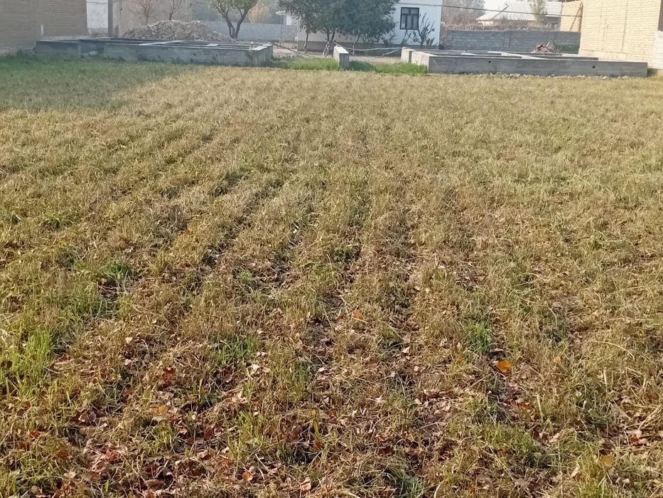 Isfara MFY dagi yer maydoni fundamental bilan