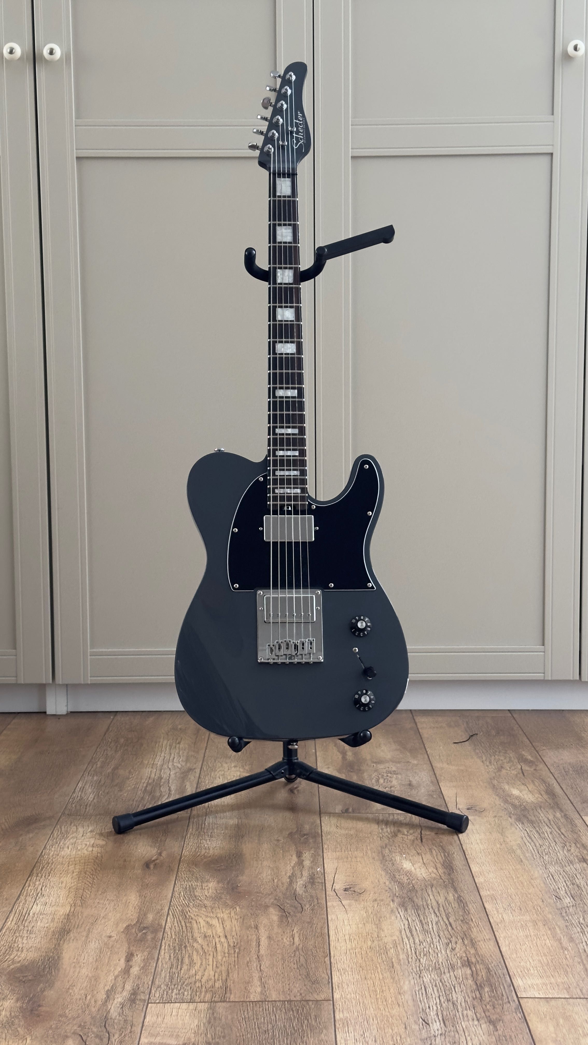 Электрогитара SCHECTER PT EX Dorian Grey