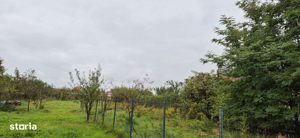 De vanzare teren 500 mp - sat Tirimioara