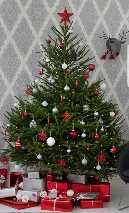 Срубленные живые ёлки на новый год,