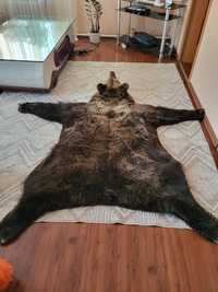 Продам ковёр из шкуры медведя