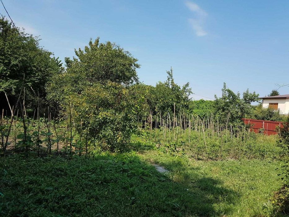 Casa si spatiu comercial Singureni