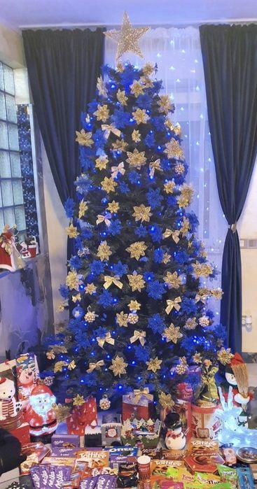 Brad impecabil,250 cm înălțime