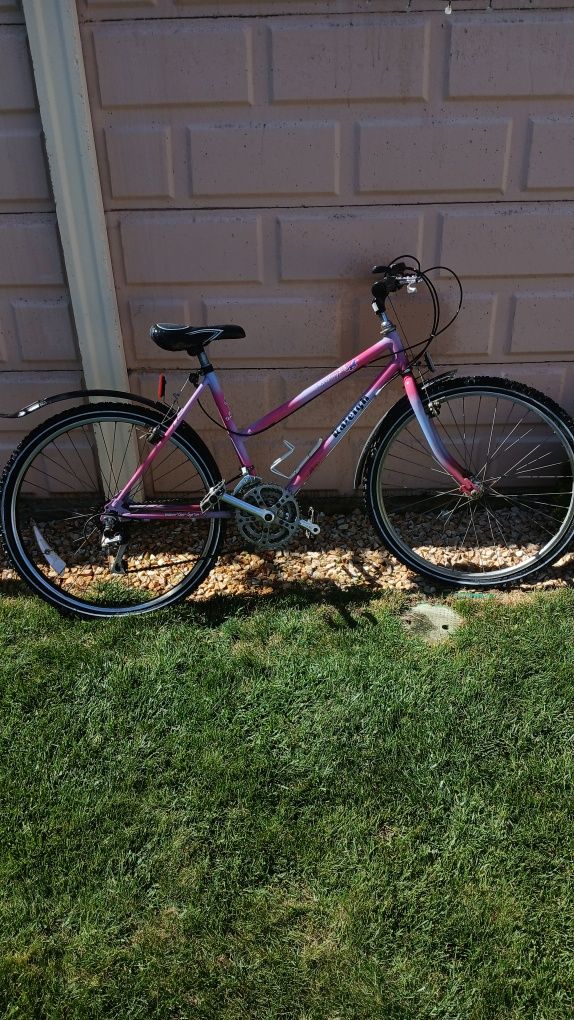 Bicicleta Raleigh