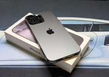 iPhone 16 Pro Max 256GB negru