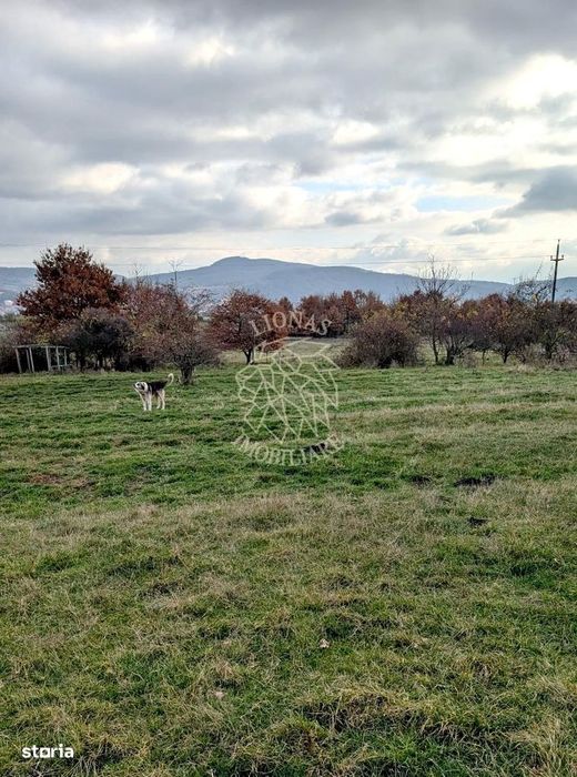 Teren intravilan 800 mp-ideal casa, investitie-Zona Dr. Dumitrei