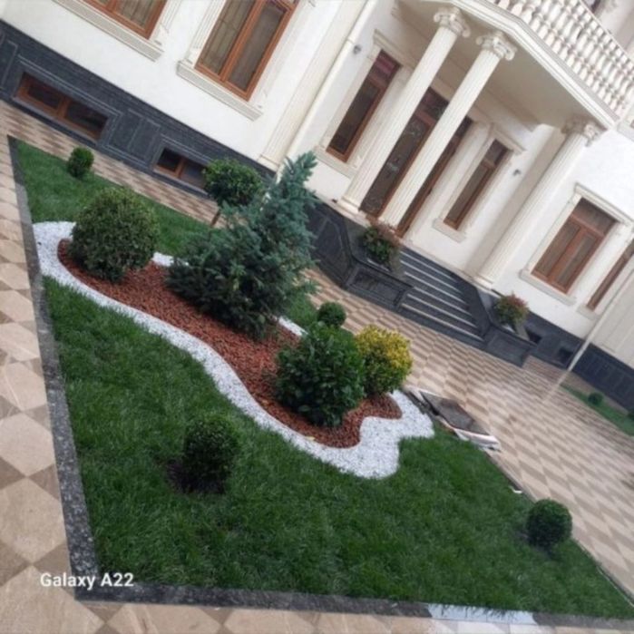 Archa xar xil turdagi kochatlar