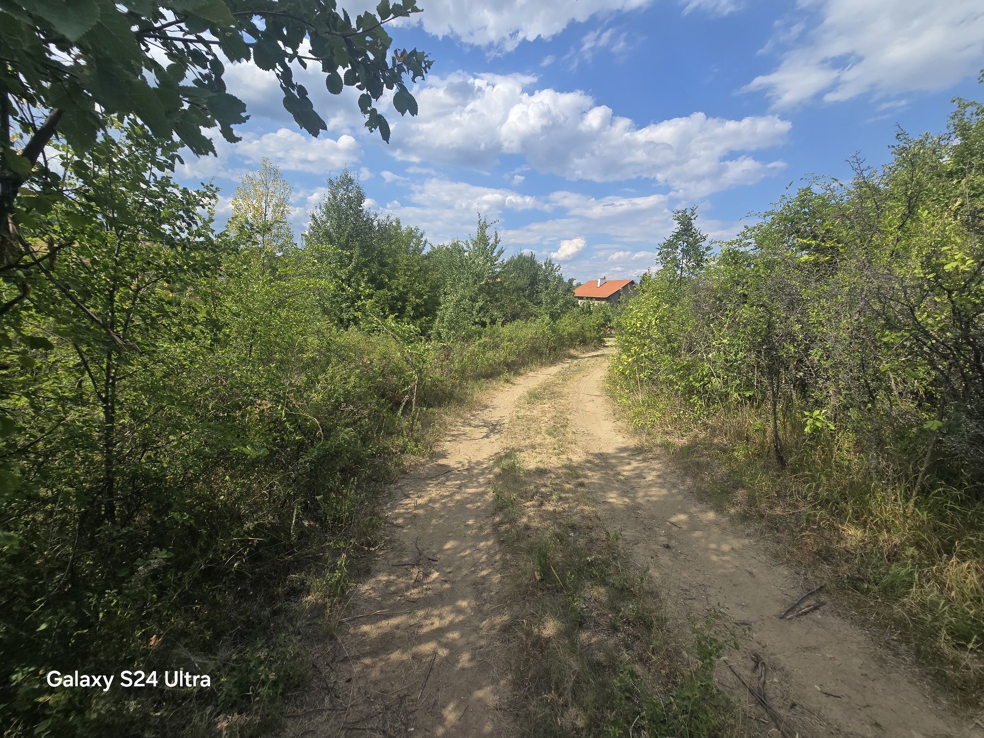 Продавам парцел с. Дъбравите Белово