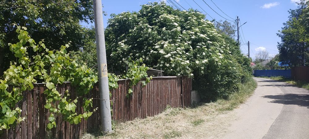 Teren in comuna Gruiu judetul Ilfov cu casa demolabila