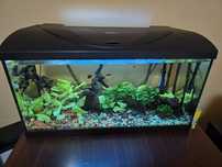 Acvariu pesti 114 L Diversa + filtru extern