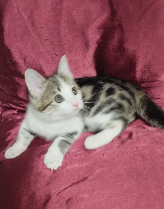 Мальчишка ждет свою семью!