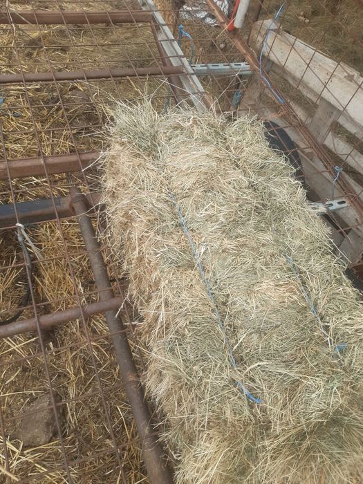 Baloți de fâneață