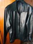 Haine de piele- diferite modele