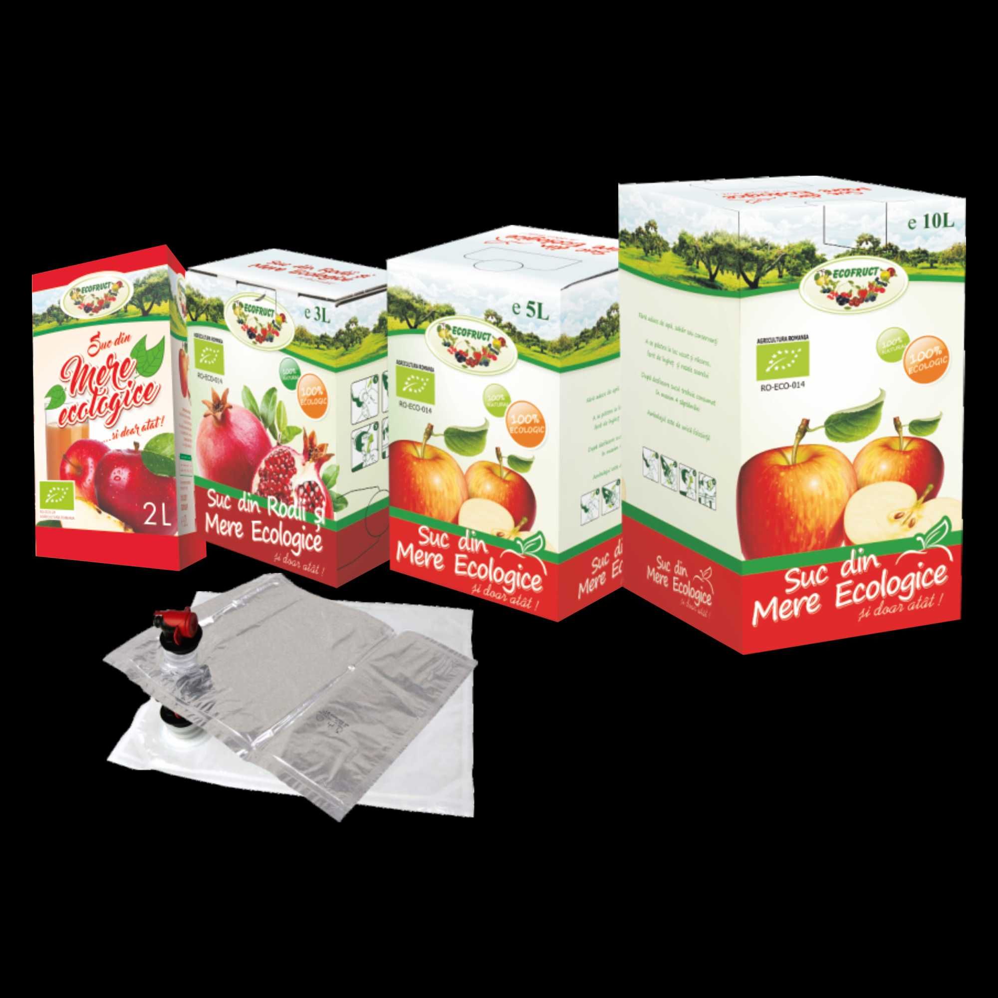 Cutii BAGinBOX pentru suc de mere, vin, aronia, fructe de padure