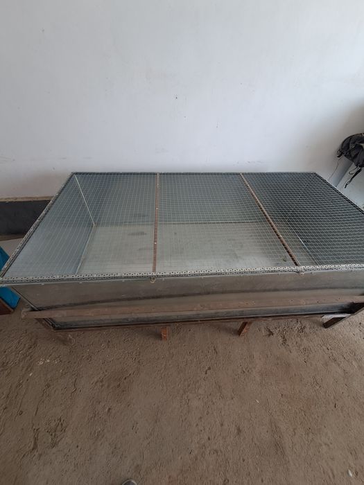 Akfarum baliqla uchun.