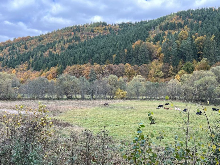 Teren de vânzare în Vărșag
