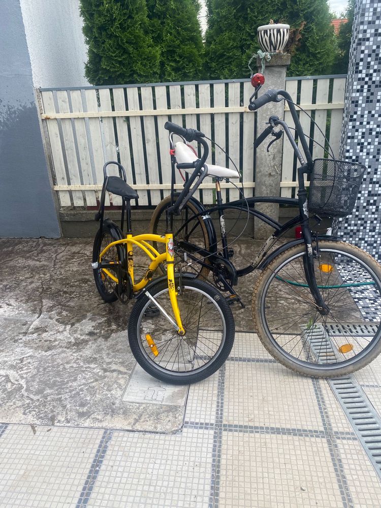 Bicicleta Pegas