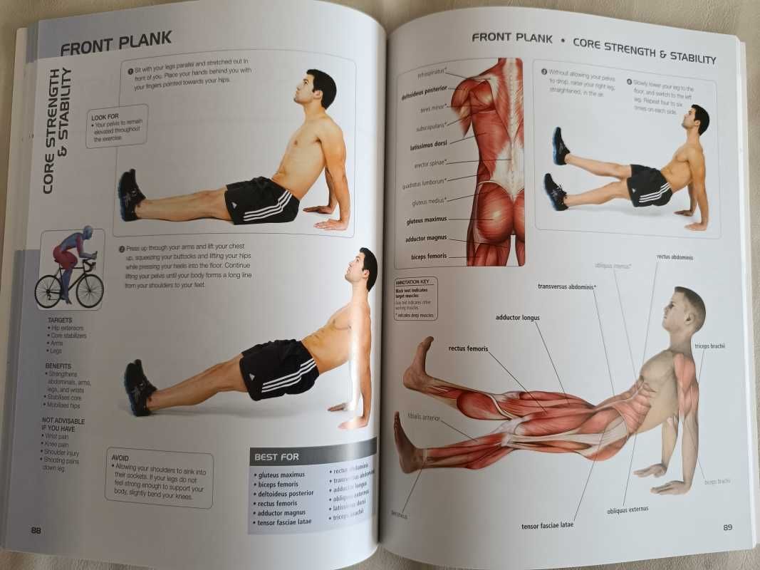 Pilates anatomy - Cycling Anatomy