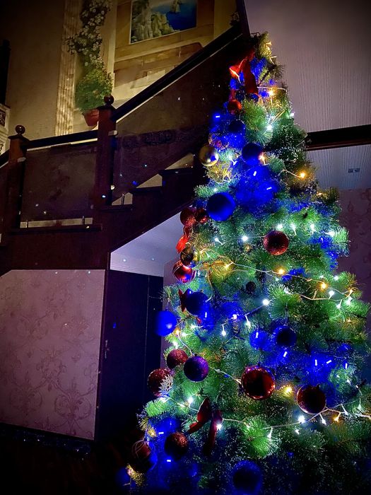 Елка арча продам 2,80-3