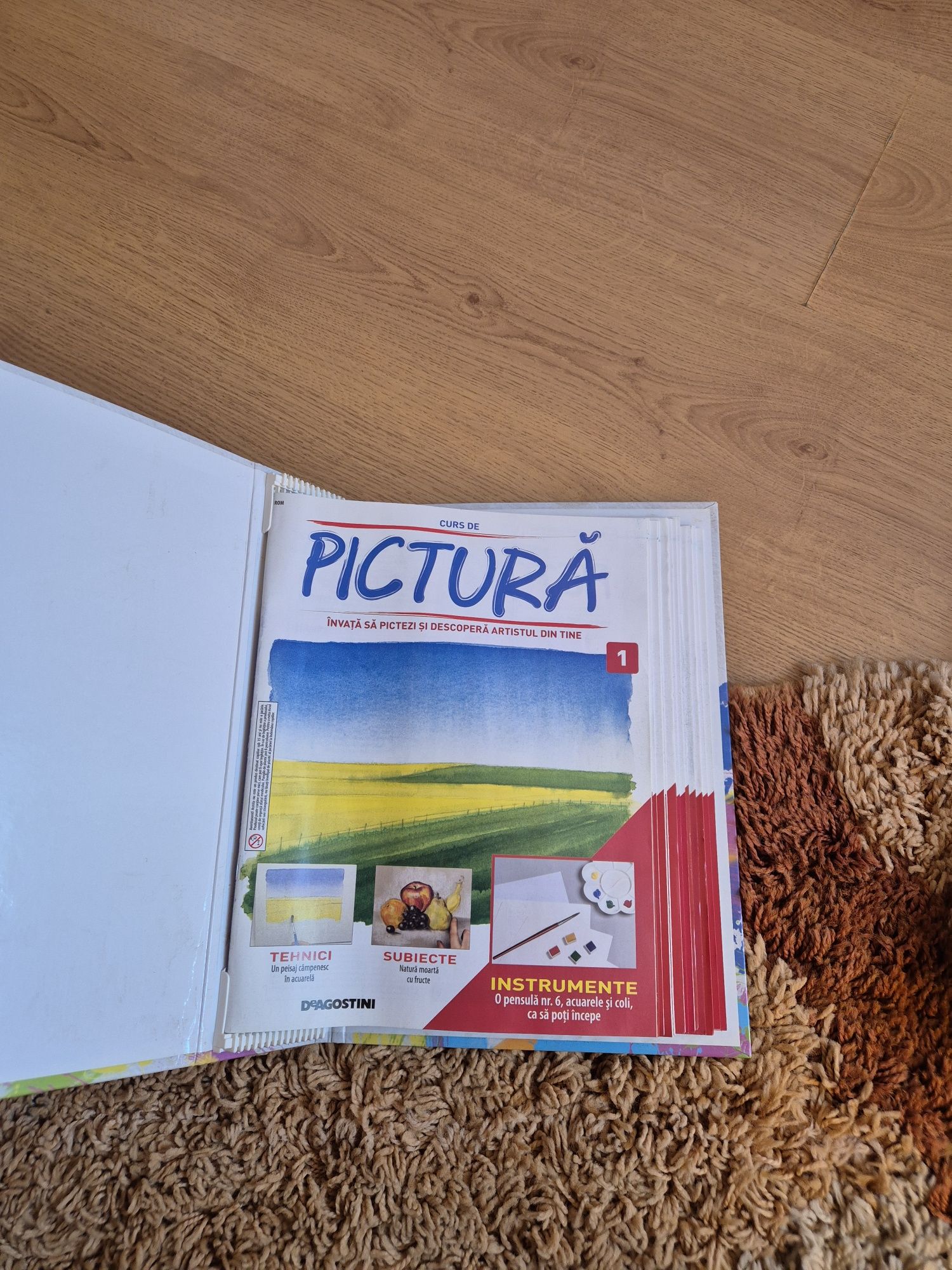 Curs Pictură complect 1-80