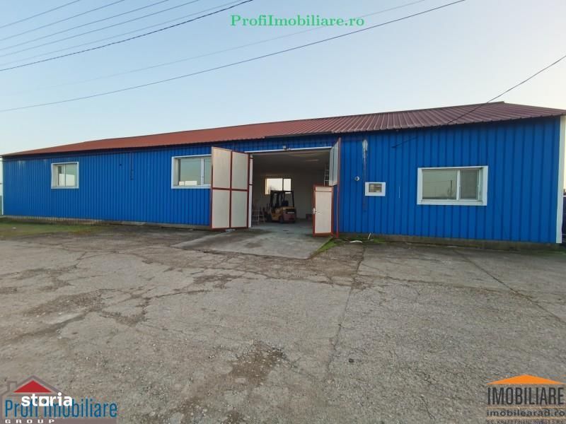 Inchiriez Hala in Sanicolau Mic - 400mp