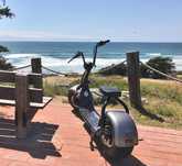 Trotineta ELECTRICA Scooter Scuter Electric Chopper E-BIKE Bicicleta