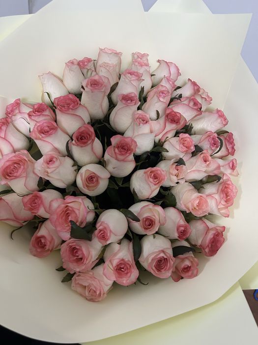 51 штук роза бугин келген