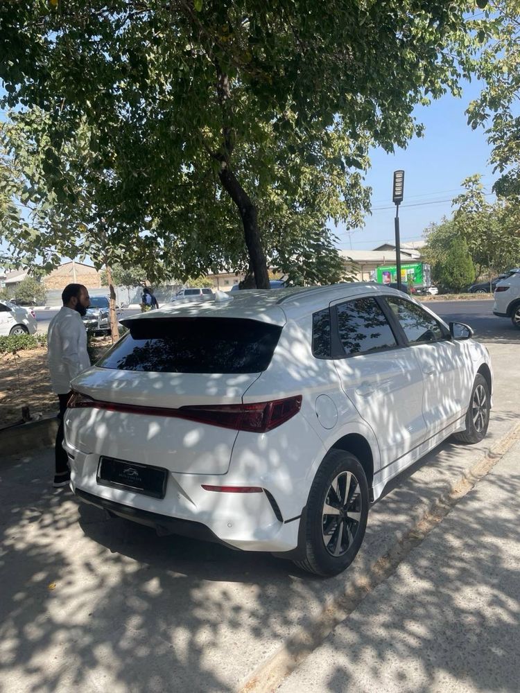 Byd e2 vashe shikalat