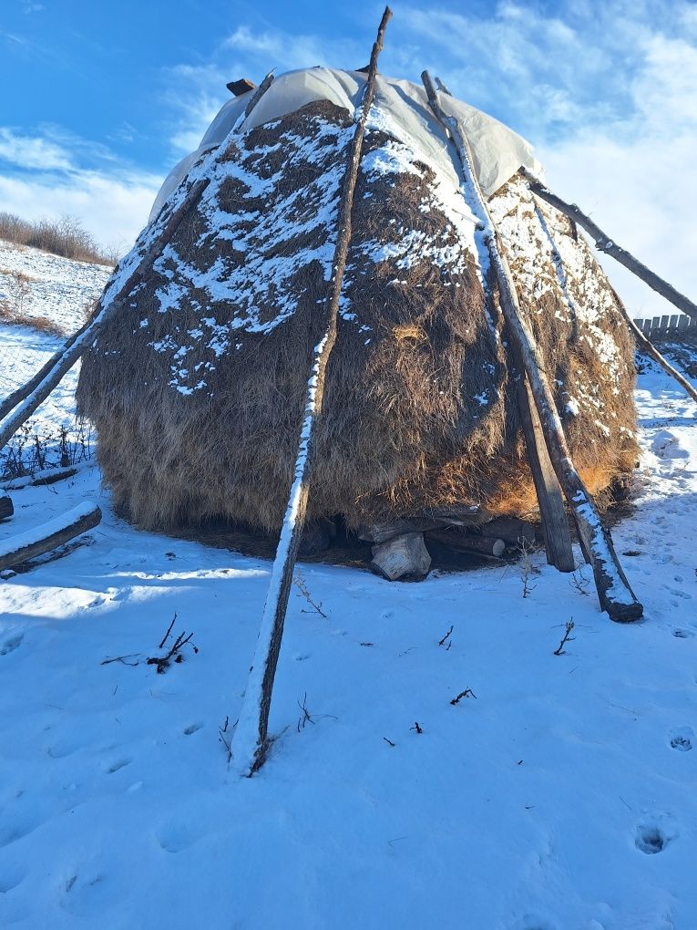 Fân de vânzare foarte bun