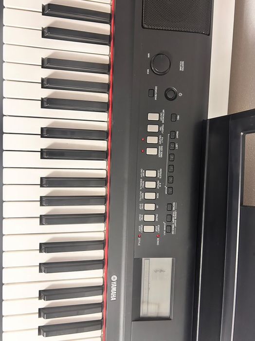 orga piaggero NP-V80