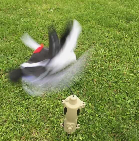 Atrapa electronica Icotec PD200 cu doua toppere vanatoare vulpe sacal