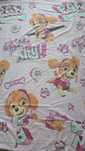 Set Sky Paw Patrol