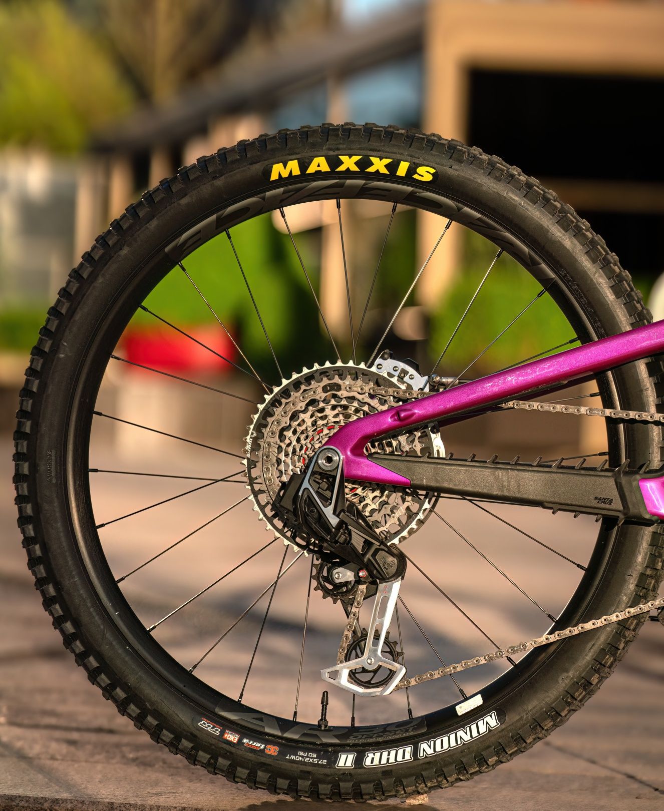 Santa cruz heckler sl c   (L)  Cu Acte.