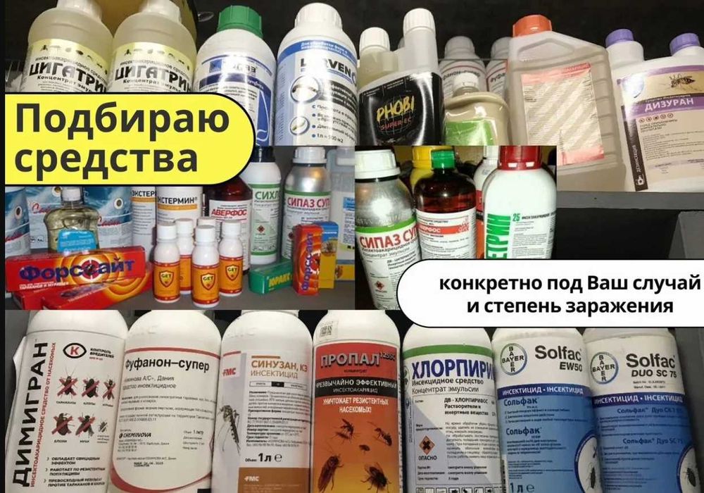 Уничтожение клопов | Дезинфекция хизмати | Клоп клапа таракан бурга