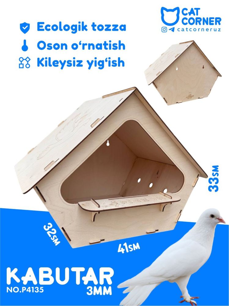 Kabutar kaptar qush uyasi gnezdo