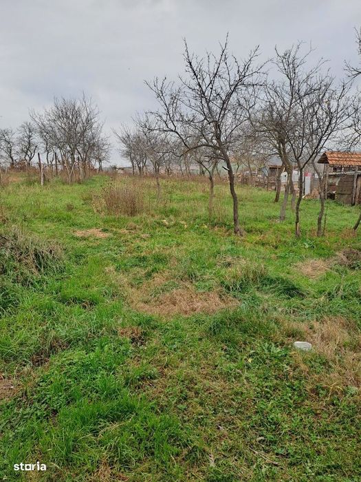 Teren intravilan pentru constructie si livadă în Sântelec,